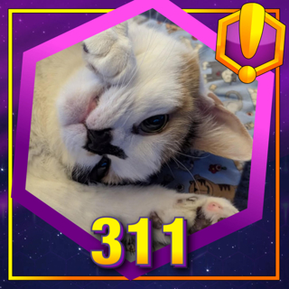 #311 - For Azeroth!: "Khajiit and Kitchenettes!"