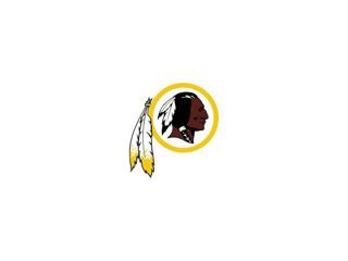 NFL SuperFan Series: 2014 Washington Redskins