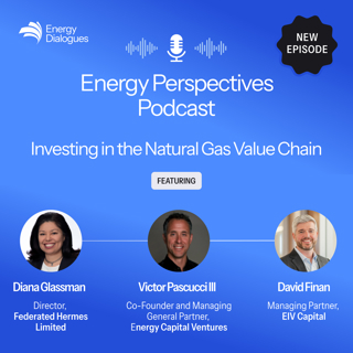 Investing in the Natural Gas Value Chain with Victor Pascucci, David Finan — Energy Perspectives