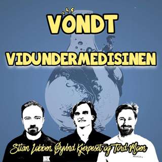EP 79: Vidundermedisinen m/ Øyvind Kjerpeset, Stian Lobben og Tord Moen
