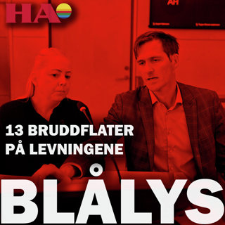 Ord vi aldri før har hørt i sal 8 i Hamar tinghus