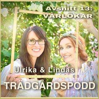 Avsnitt 13 - Lökar