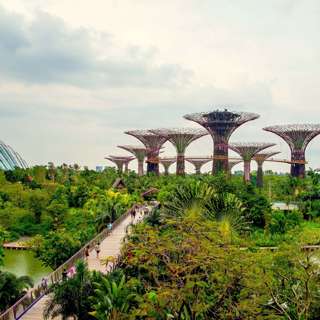 The Singapore strategies