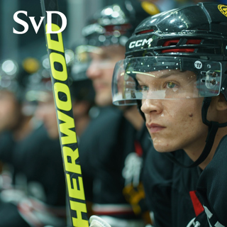 Heated Rivalry – följeslagarpodden | avsnitt 2