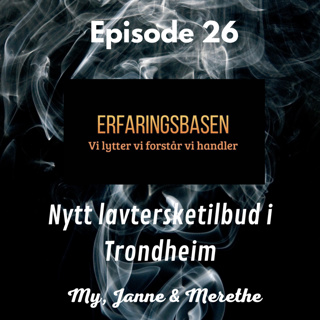 Erfaringsbasen