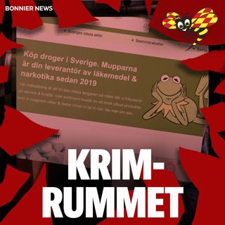 Operation "Brevduvan" – så stoppade polisen knarkbreven