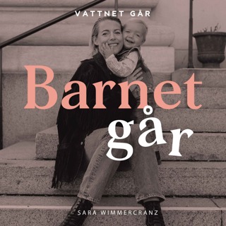 575. Barnet Går - Sara Wimmercranz "Ett starkt team är nyckeln till framgång"