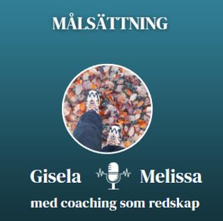 Viktigt med målsättning