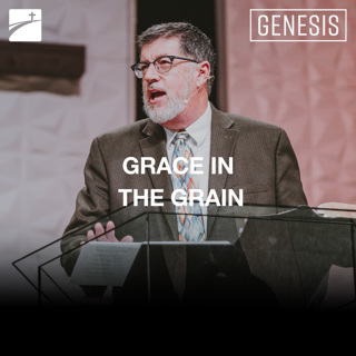 Genesis: Grace In The Grain