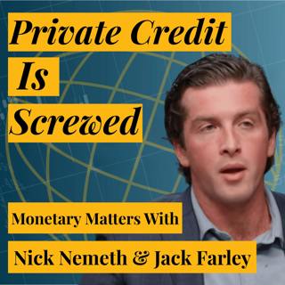 Nick Nemeth: Private Credit Will Blow-up Insurance System | Immense Leverage, Shaky Loans, and Retirement System That Actually Does Have Run Risk (via Surrenders)