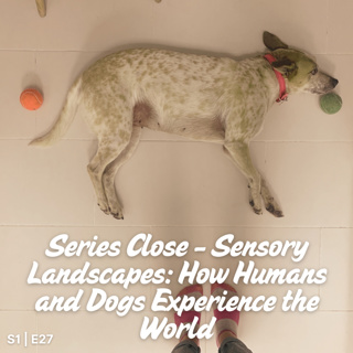 S1 E27 Series Close: Sensory Landscapes: How Humans and Dogs Experience the World