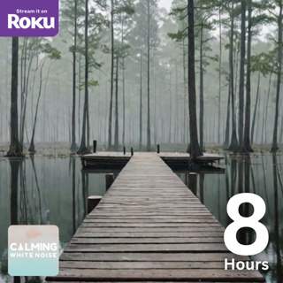 8 Hours of Relaxing Swamp Sounds for Sleep & Stress Relief