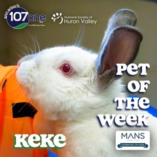 a2VV: HSHV Pet of the Week 5/7/26