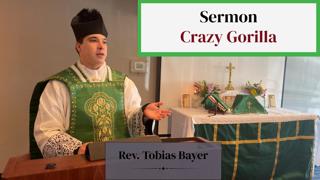 Sermon: Crazy Gorilla, by Rev. Tobias Bayer