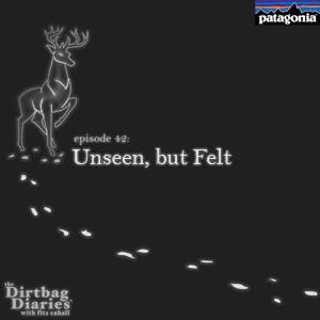 Unseen But Felt