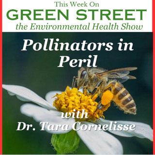 Pollinators in Peril with Dr. Tara Cornelisse