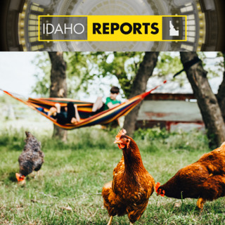 Episode: Counting Your Chickens with Sen. Tammy Nichols