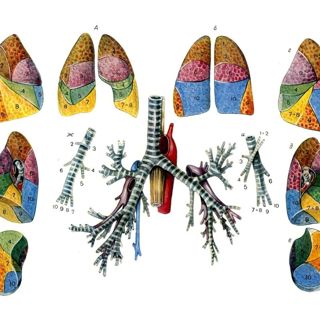 Breath