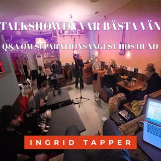 Q&A om separationsångest hos hund - Etologen gästar Talkshowen Vår Bästa Vän