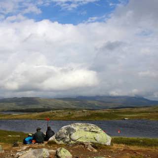 En procent av Jämtlandstriangeln – och om att rita en fågelsångskarta