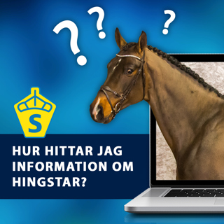 Avsnitt 36. Hitta information om hingstar