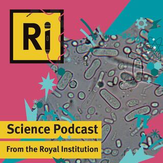 From the PhD Lab: How do biofilms help keep bacteria alive? - with Josh Horton