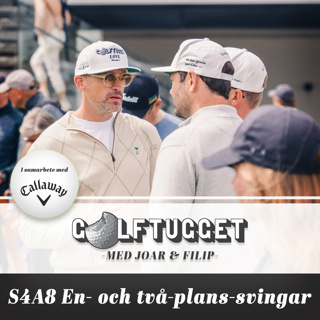 S4A8 En- och två-plans-svingar
