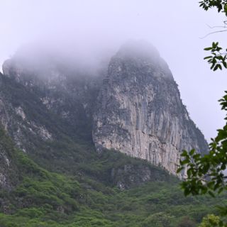 Culture and Plants in Nuevo León, Mexico : Carlos "Aztekium" Velasco