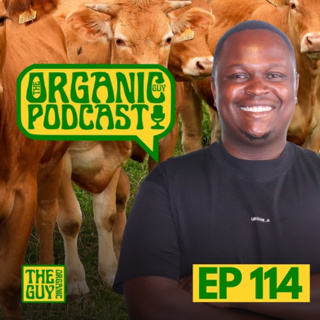 He Left Fintech to Make Money From Fattening Cattle w/ Imani Wamai | Ep 114