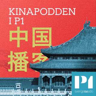 “Valåret” inför partikongressen & skamfyllt lägga sig platt, Tang Ping-trenden håller i sig