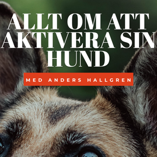 Allt om att aktivera sin hund - Med Anders Hallgren