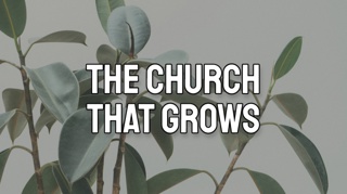 The Church that Grows
