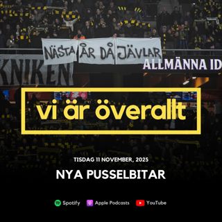 Nya pusselbitar