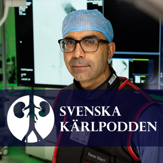 7. Med Ledaren i Arcus - Fellowships, Forskning och Fjällen med Kevin Mani