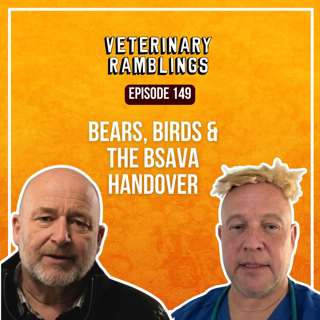 Bears, Birds & the BSAVA Handover