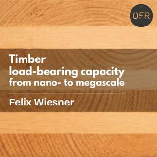 255 - Timber load bearing capacity in fire from nano- to megascale with Felix Wiesner