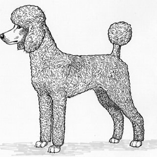 Poodle Grooming and Other (Nearly) Olympic Sports