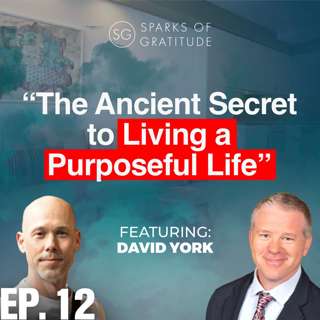 12. The Gift of Lift: Harnessing The Power of Stewardship to Elevate the World - David York