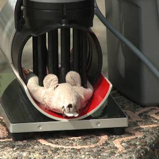 Bojkottad etikprövning och fäbless för dödsfällor