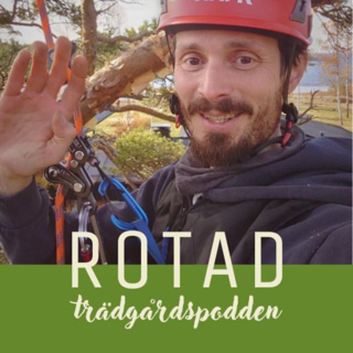 Simon says ett och annat om trädgårdsplanering