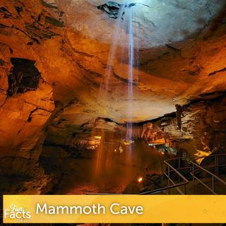 Fun Facts About Mammoth Cave