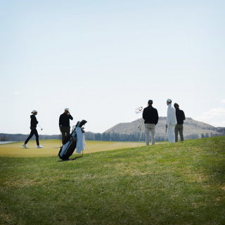 S8A3 Avstängning, järn & 14-bollar