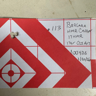 Small Game Rifle Review: Bergara BMR Carbon 17HMR and the Banish 22