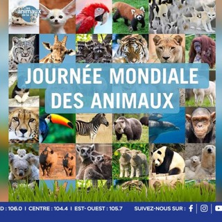 Journée mondiale des animaux : un appel à les protéger chaque jour
