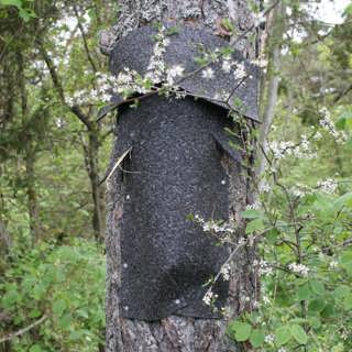 Pyssel för vilda vänner 
och insekter i vinterklump