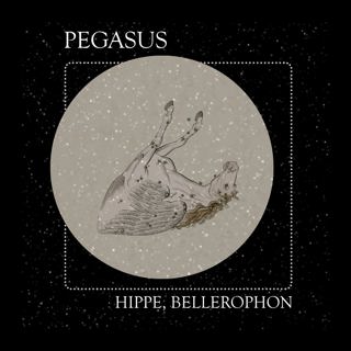 11 The Constellation of Pegasus