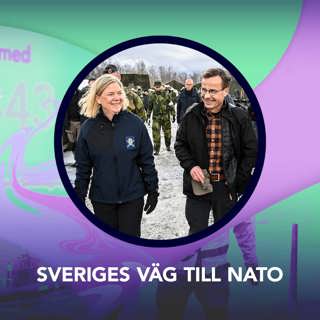 Sveriges väg till Nato – P3 Nyheter Dokumentär