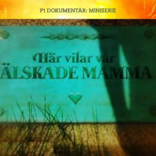 De mördade sin mamma - Pojkvännen | Del 3/3