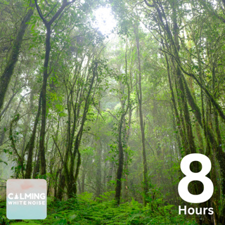 Tropical Rainfall (8 Hours) | Relaxing Background Noise for Study and Focus