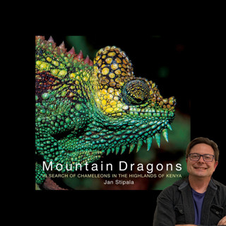A Mountain Dragons Reading